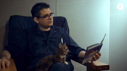 tumblr_mxwt28tjaz1qaxihzo1_500